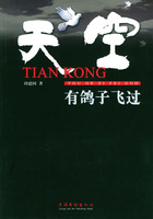 《天空有鴿子飛過》