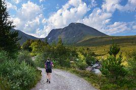 本尼維斯山 本尼維斯山