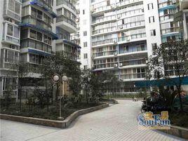 城市脈搏 城市脈搏