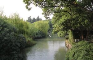 晴紅煙綠 晴紅煙綠