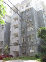 茶市新村 茶市新村