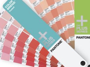 國際色卡 國際色卡