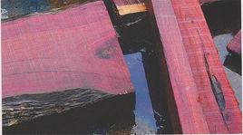 鳥足紫檀 鳥足紫檀