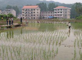 新化縣畜牧水產局 新化縣畜牧水產局