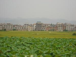 黃官營村