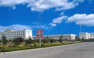 泰安泰山金石機械有限責任公司