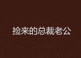 撿來的總裁老公 撿來的總裁老公