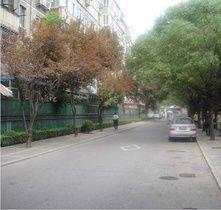 曙光西里 曙光西里