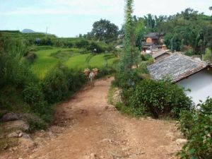 馬場自然村 馬場自然村