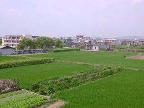 林家土橋頭村 林家土橋頭村