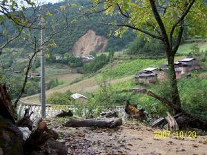 四拾馱自然村 四拾馱自然村