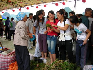 靖西壯族端午藥市的交易