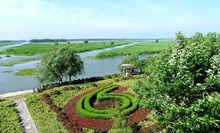 建湖九龍口風景區高清大圖4