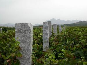 大澤山風景名勝區