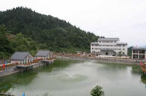 龍王埡養生山莊 龍王埡養生山莊