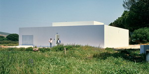 阿爾伯托·坎波·巴埃薩