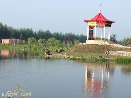 金城村[湖南省婁底市雙峰縣青樹坪鎮下轄行政村]