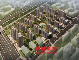 蓮城國際 蓮城國際