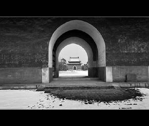 純色西陵 純色西陵