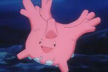 小霞的太陽珊瑚