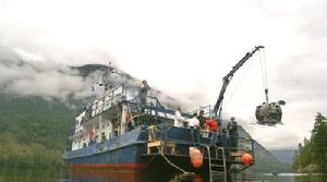 《深深的海洋》