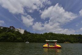 黃水[黃色液體]