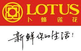 易初蓮花 易初蓮花