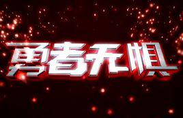 勇者無懼[2011年國產卡通片超獸武裝]