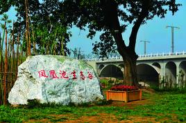 鳳凰池生態谷 鳳凰池生態谷