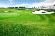 黃驊[河北省滄州市代管縣級市]