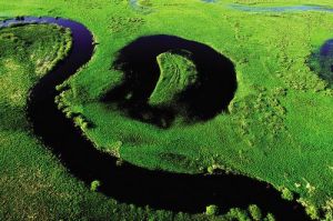 大興安嶺濕地 大興安嶺濕地