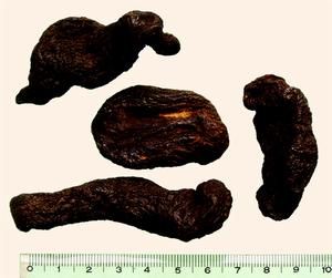 桂附地黃湯 桂附地黃湯