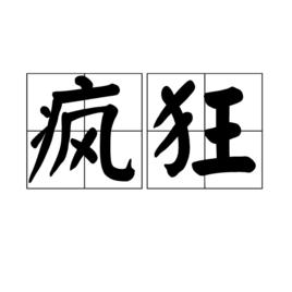 瘋狂[漢語詞語]
