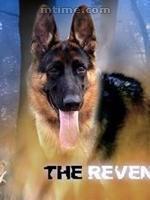 拉爾復仇記 拉爾復仇記