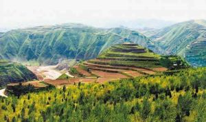 秦西垂陵園 秦西垂陵園