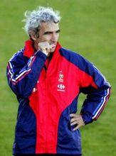 雷蒙德·多梅內克