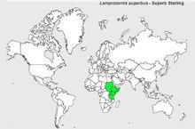 栗頭麗椋鳥分布圖