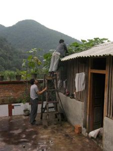 白秧坪村 白秧坪村