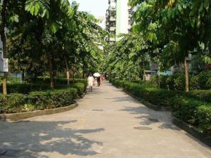 廣州市芳村區婦幼保健院 廣州市芳村區婦幼保健院