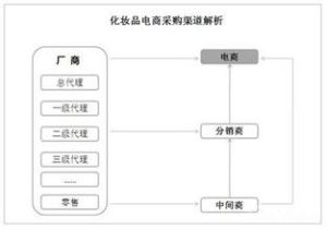 化妝品垂直電商行業白皮書 化妝品垂直電商行業白皮書