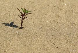 我關心什麼 我關心什麼