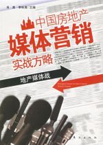 《技術銷售顧問實用手冊》