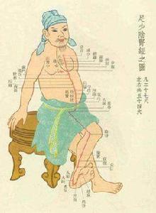 足厥陰經脈
