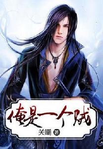 俺是一個賊 俺是一個賊