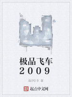極品飛車2009