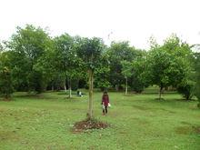 藏龍島濕地公園