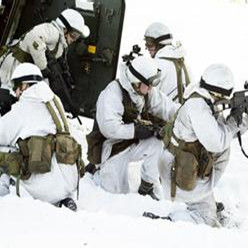 歐盟聯合機動部隊 歐盟聯合機動部隊