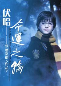 伏哈——命運之輪 伏哈——命運之輪