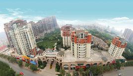 森林半島 森林半島