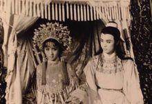 精變[1980年徐少華、魏慧麗主演的聊齋電影]